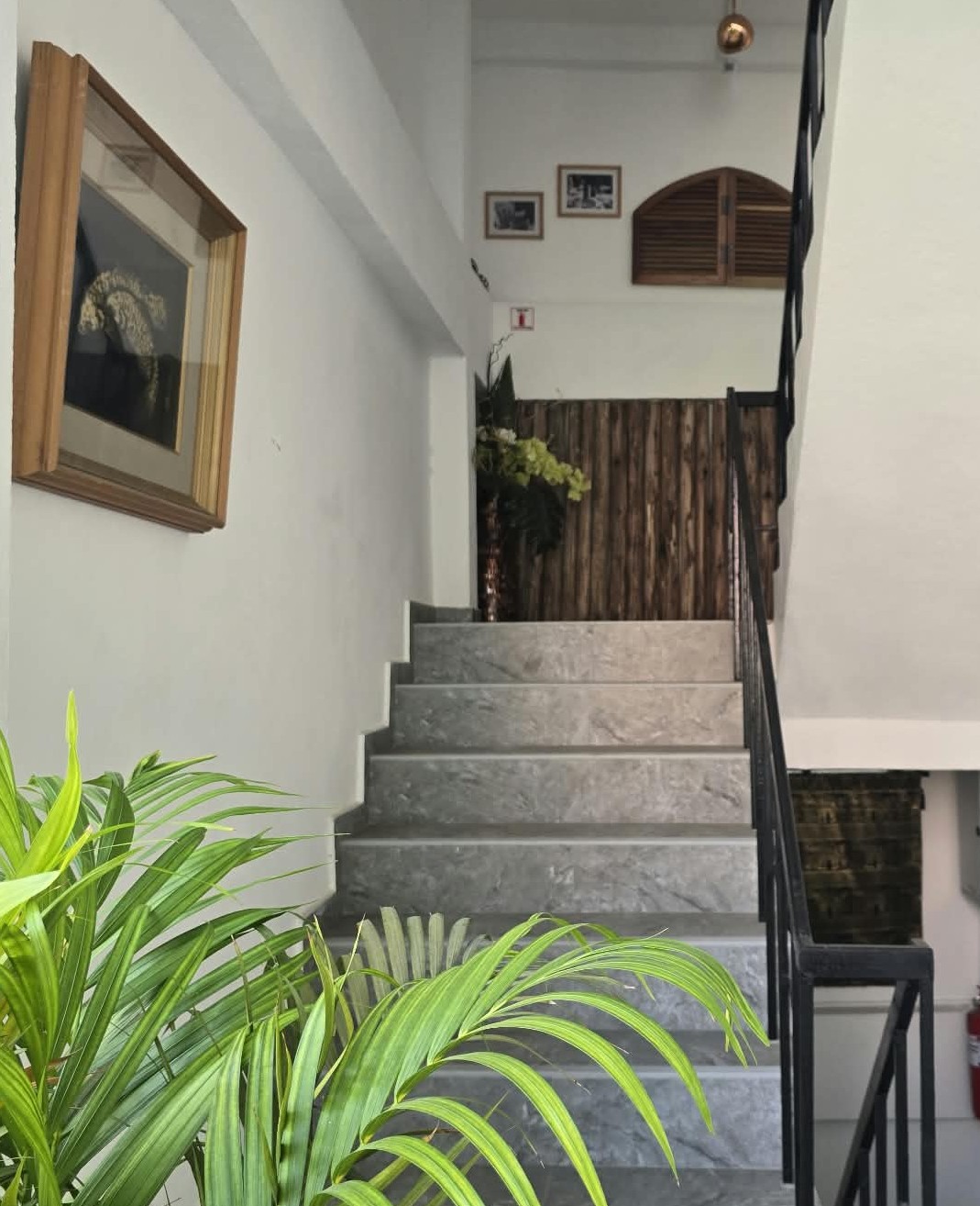 Upper corridor and plant-lined staircase at ZZ Boutique Apartment